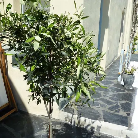 Barbarossa * Emporio (Santorini)